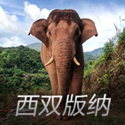 4％成分水岭！海外银行美元存款利率连降，全球大类资产配置走到关键路口